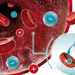Резус-конфликт при беременности